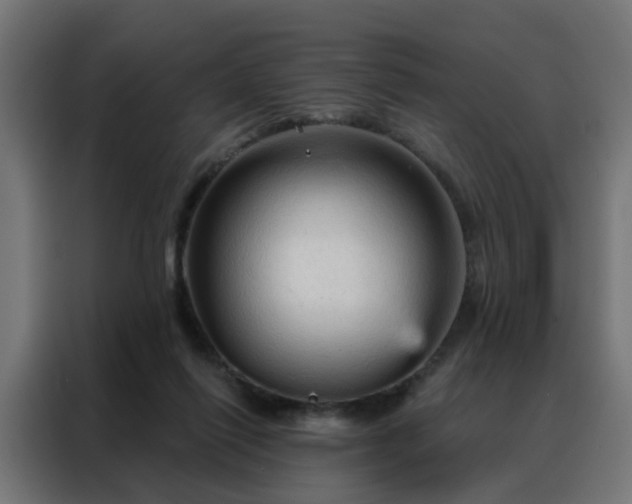 X0000088180262200705221648