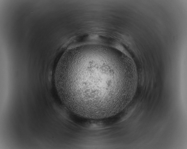 X0000088180263200705221648