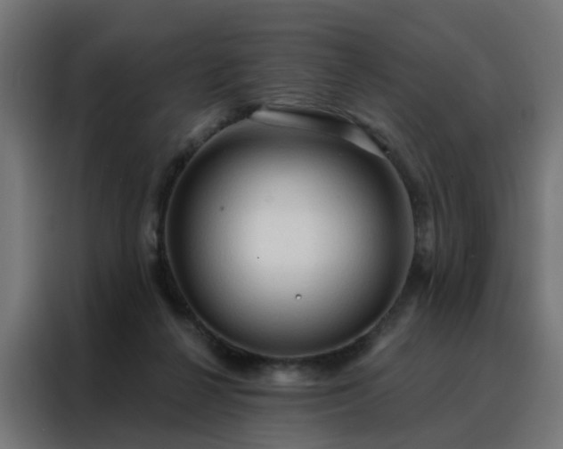X0000088180264200705221648