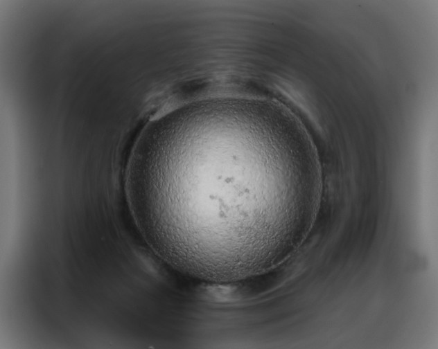 X0000088180265200705221648