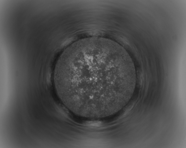 X0000088180266200705221648
