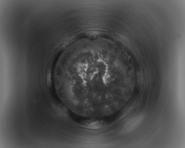 X0000088180267200705221648