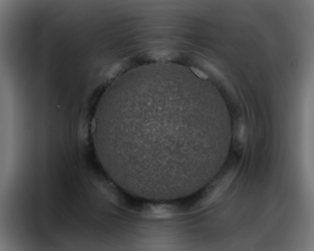 X0000088180268200705221648
