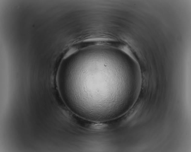X0000088180269200705221648