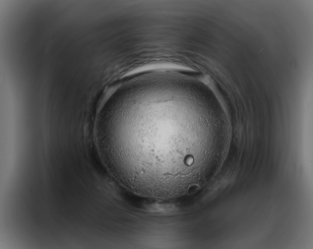 X0000088180270200705221648