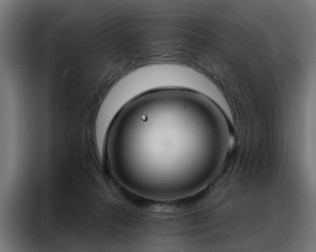 X0000088180272200705221648
