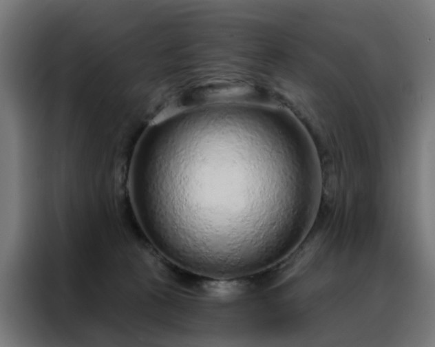 X0000088180273200705221648