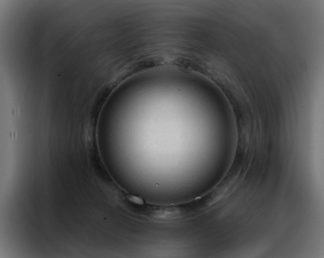 X0000088180274200705221648