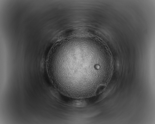 X0000088180275200705221648