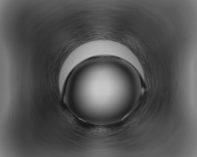 X0000088180276200705221648