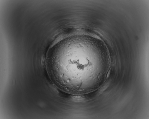 X0000088180281200705221648