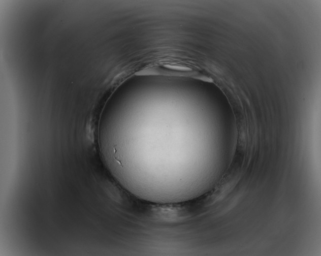 X0000088180282200705221648
