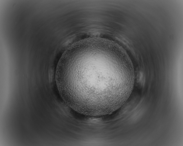 X0000088180283200705221648