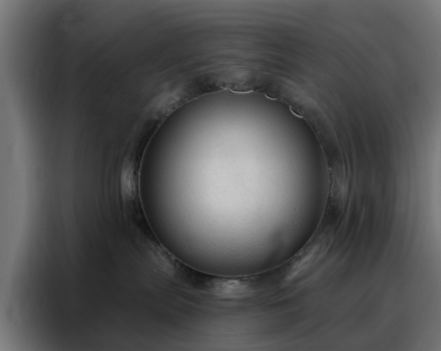 X0000088180287200705221648