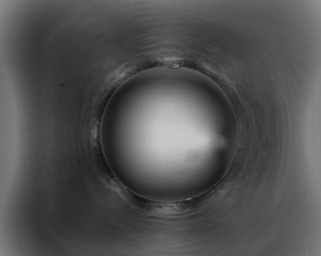 X0000088180288200705221648