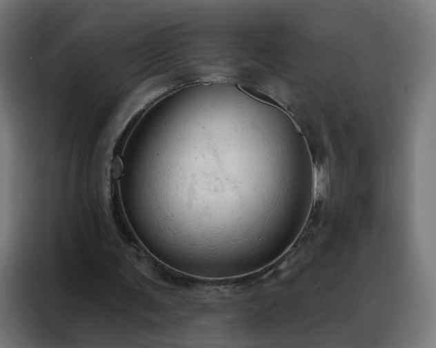 X0000088180291200705221648