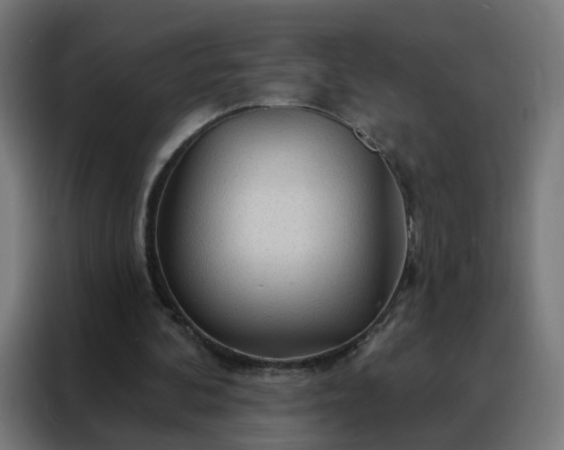X0000088180292200705221648