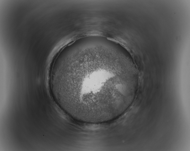 X0000088180293200705221648