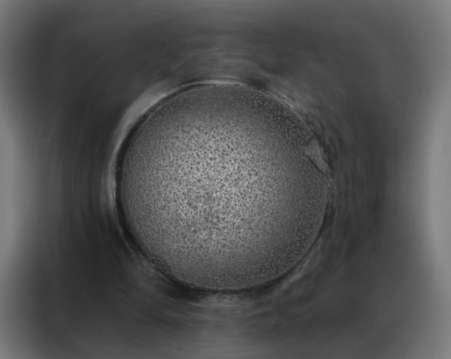 X0000088180294200705221648