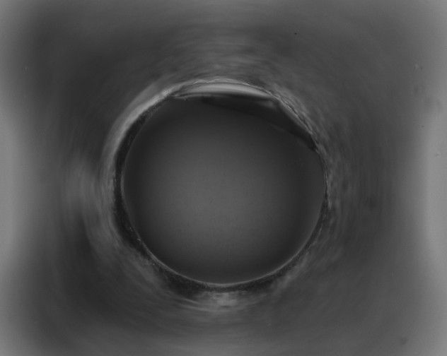 X0000088180295200705221648
