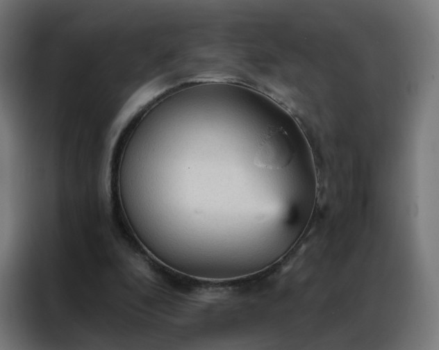 X0000088180296200705221648