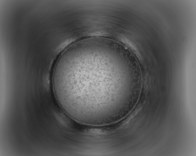 X0000088180298200705221648