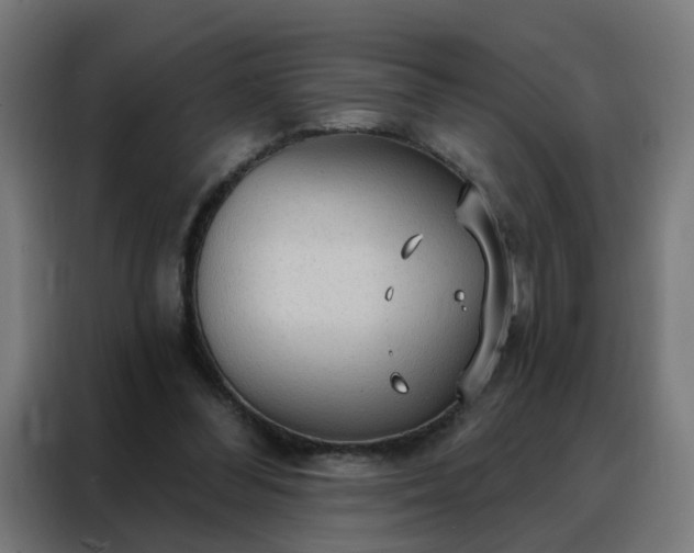 X0000088180300200705221648