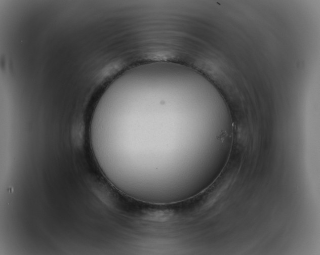 X0000088180304200705221647