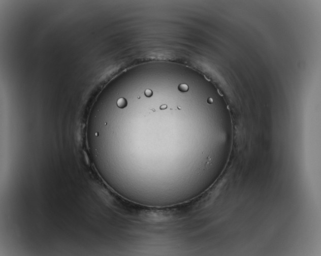 X0000088180305200705221647