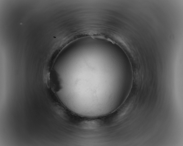 X0000088180307200705221647