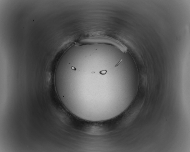 X0000088180308200705221647