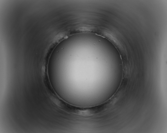 X0000088180309200705221647