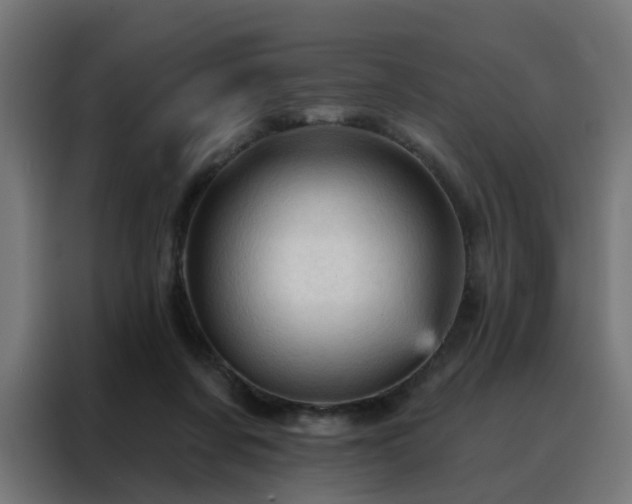 X0000088180311200705221647