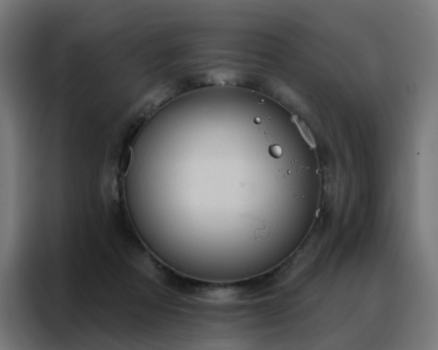 X0000088180313200705221647