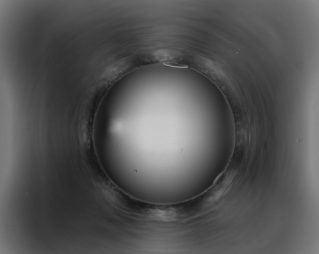 X0000088180317200705221647