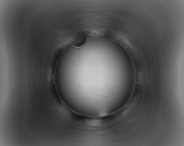 X0000088180318200705221647