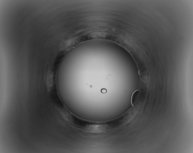 X0000088180323200705221647