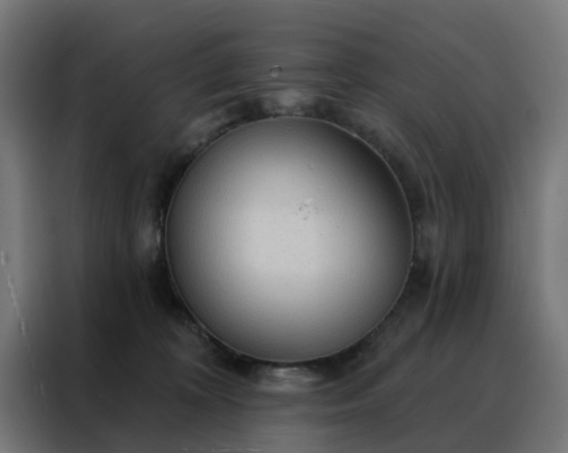 X0000088180324200705221647