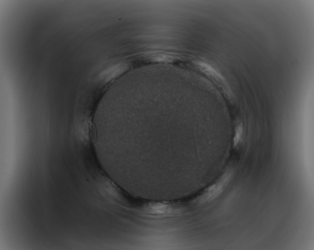 X0000088180325200705221647