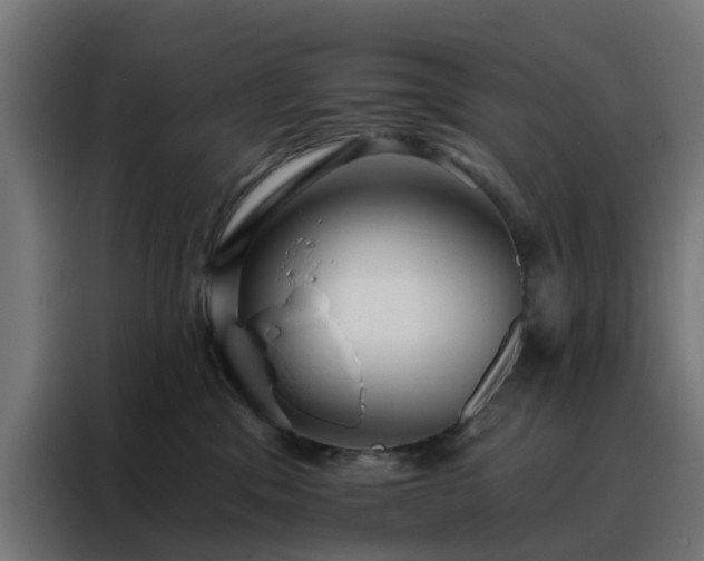 X0000088180329200705221647