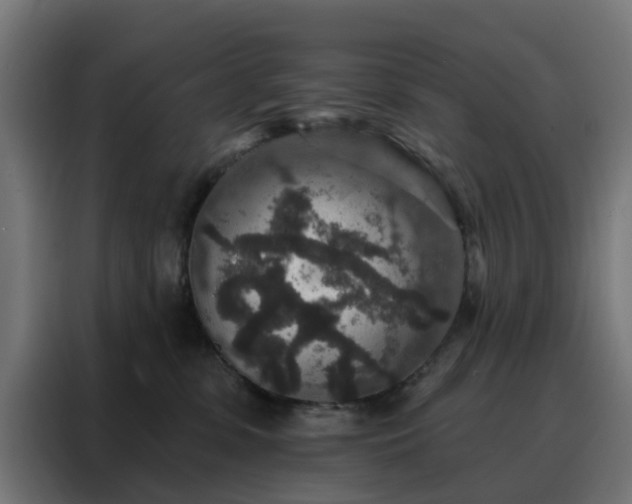 X0000088180331200705221647