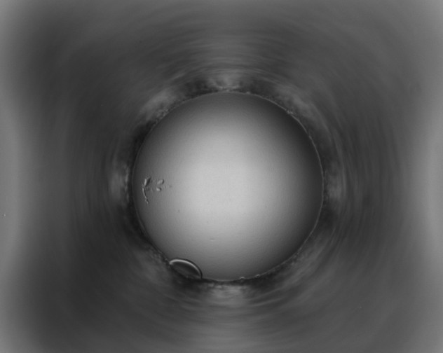 X0000088180332200705221647