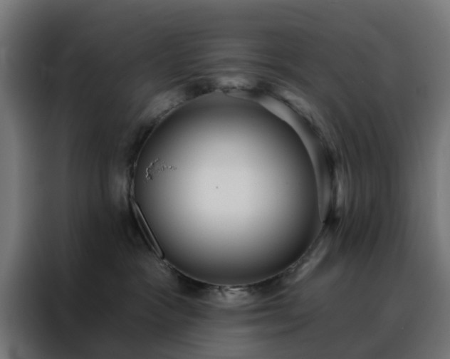 X0000088180333200705221647