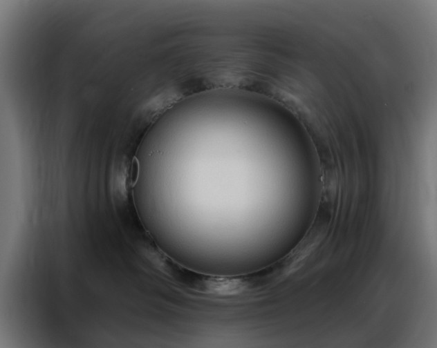 X0000088180334200705221647