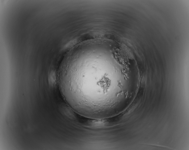 X0000088180335200705221647