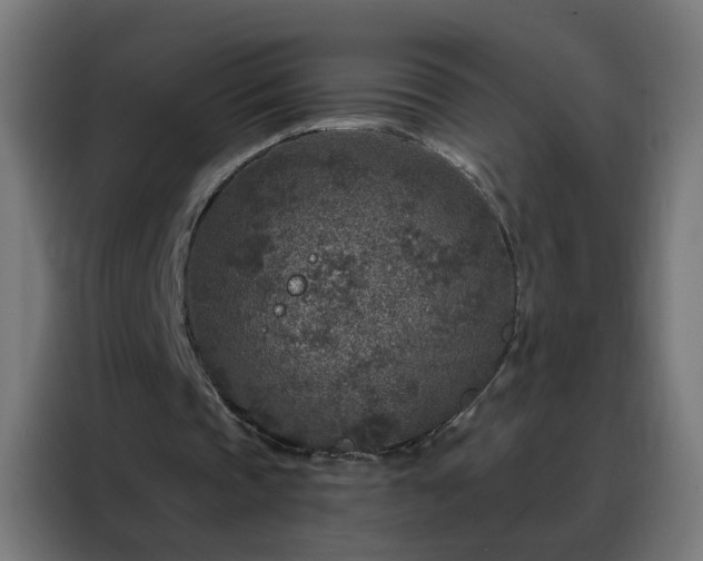 X0000088180337200705221646