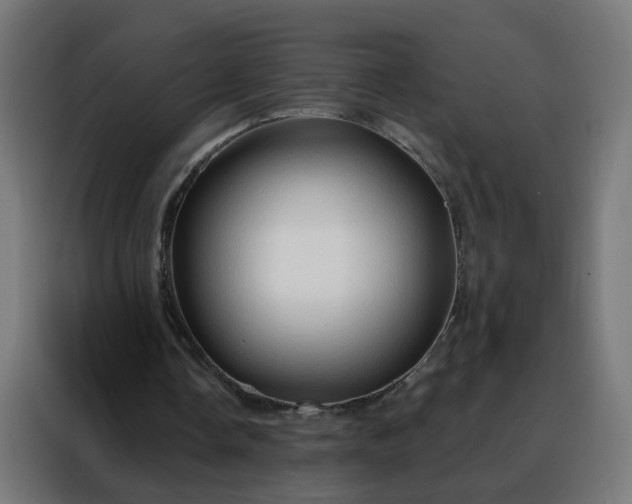 X0000088180338200705221646