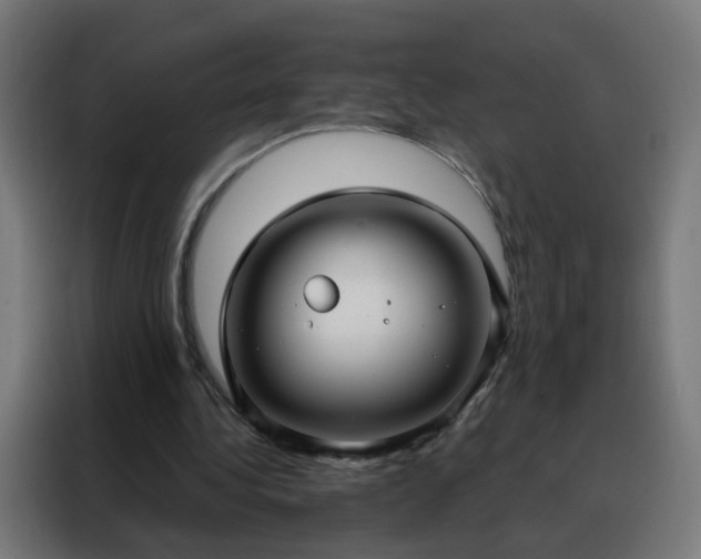 X0000088180340200705221646