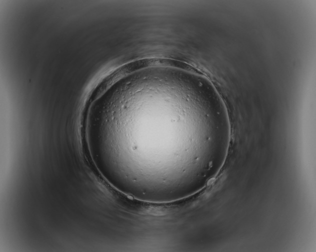 X0000088180341200705221646