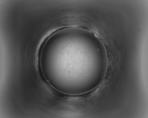 X0000088180342200705221647